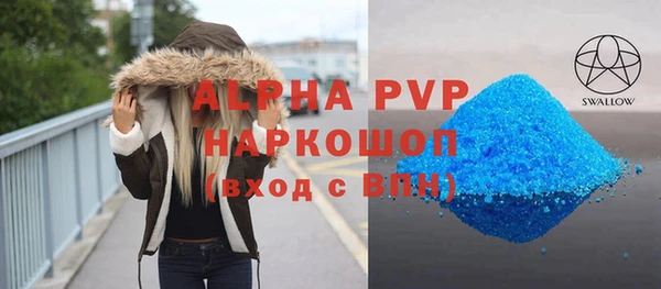 стаф Нея