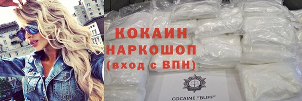 стаф Нея