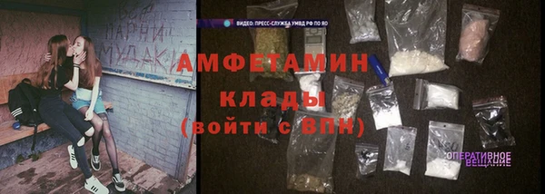 стаф Нея